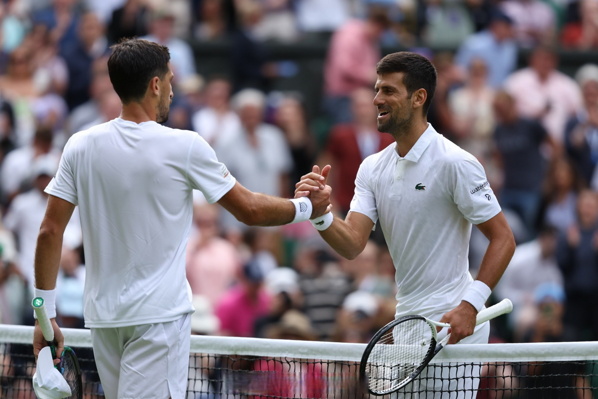 雷火电竞入驻-温网碾压戴维斯杯，德约科维奇点燃赛场的简单介绍