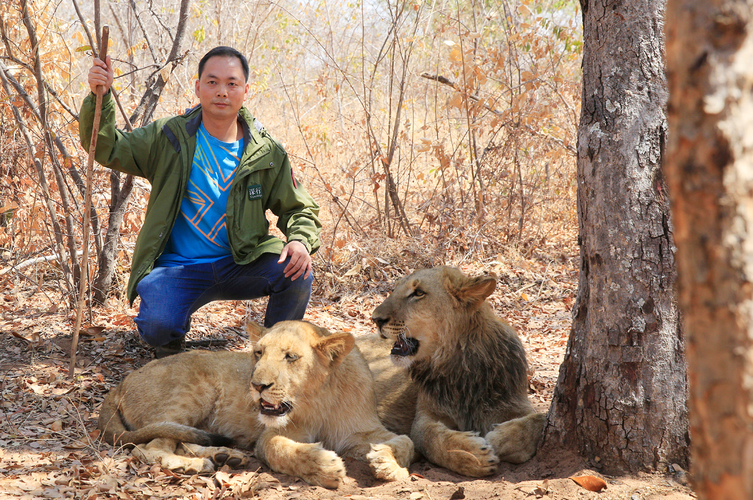 雷火电竞app-非洲速度王者称霸击剑赛场，一骑绝尘