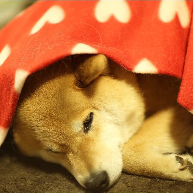 雷火电竞网站-逆流成河，迪巴拉扛起波兰，击碎马德里钢铁之躯