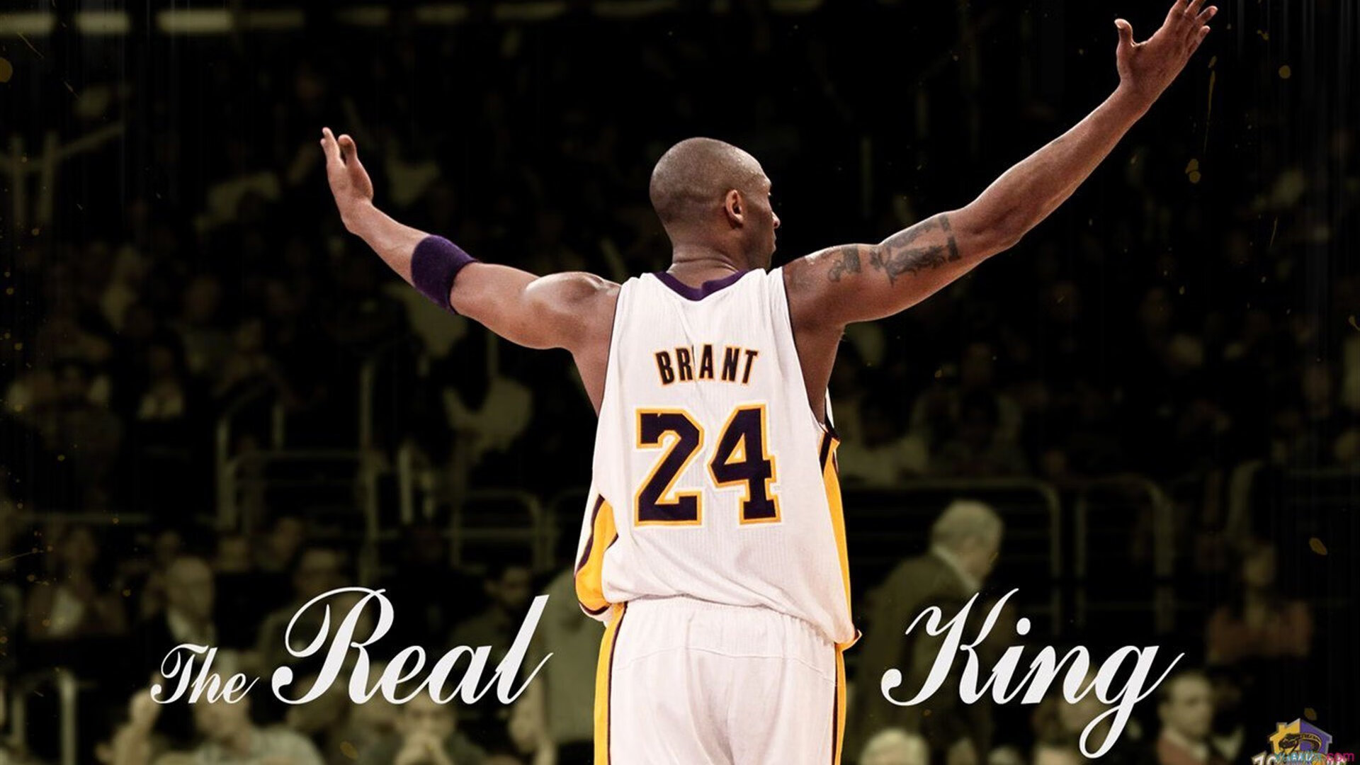 唯一性的双城记，掘金力克灰熊与哈利伯顿的德甲跨界传奇