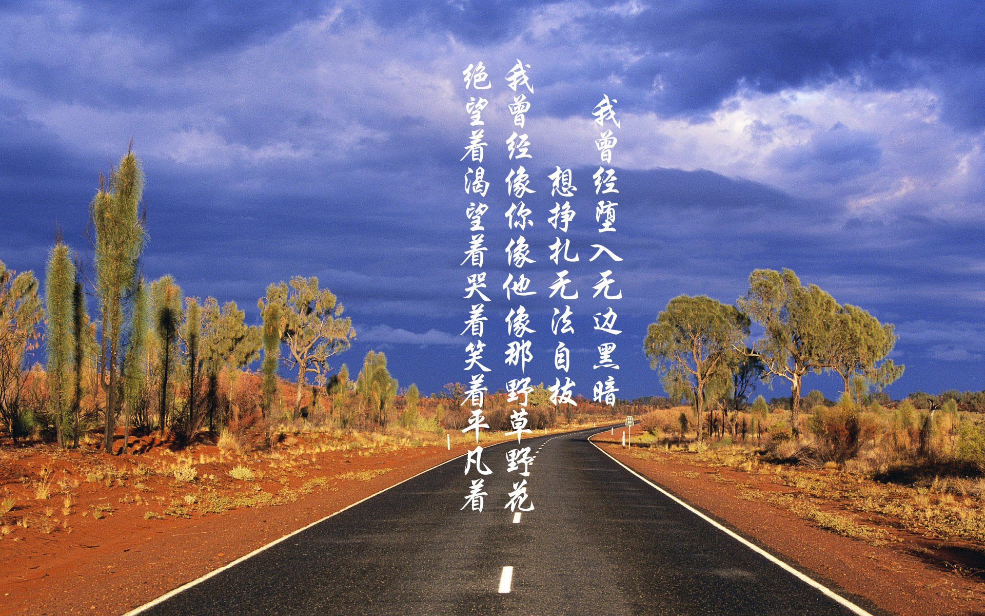 雷火电竞网址-F1街道赛的生死时速，雷霆收割者如何撕碎钢铁灰熊