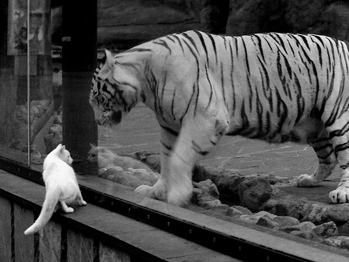 特奥数据封神之战！埃及对阵马里，他如何打出统治级表现？