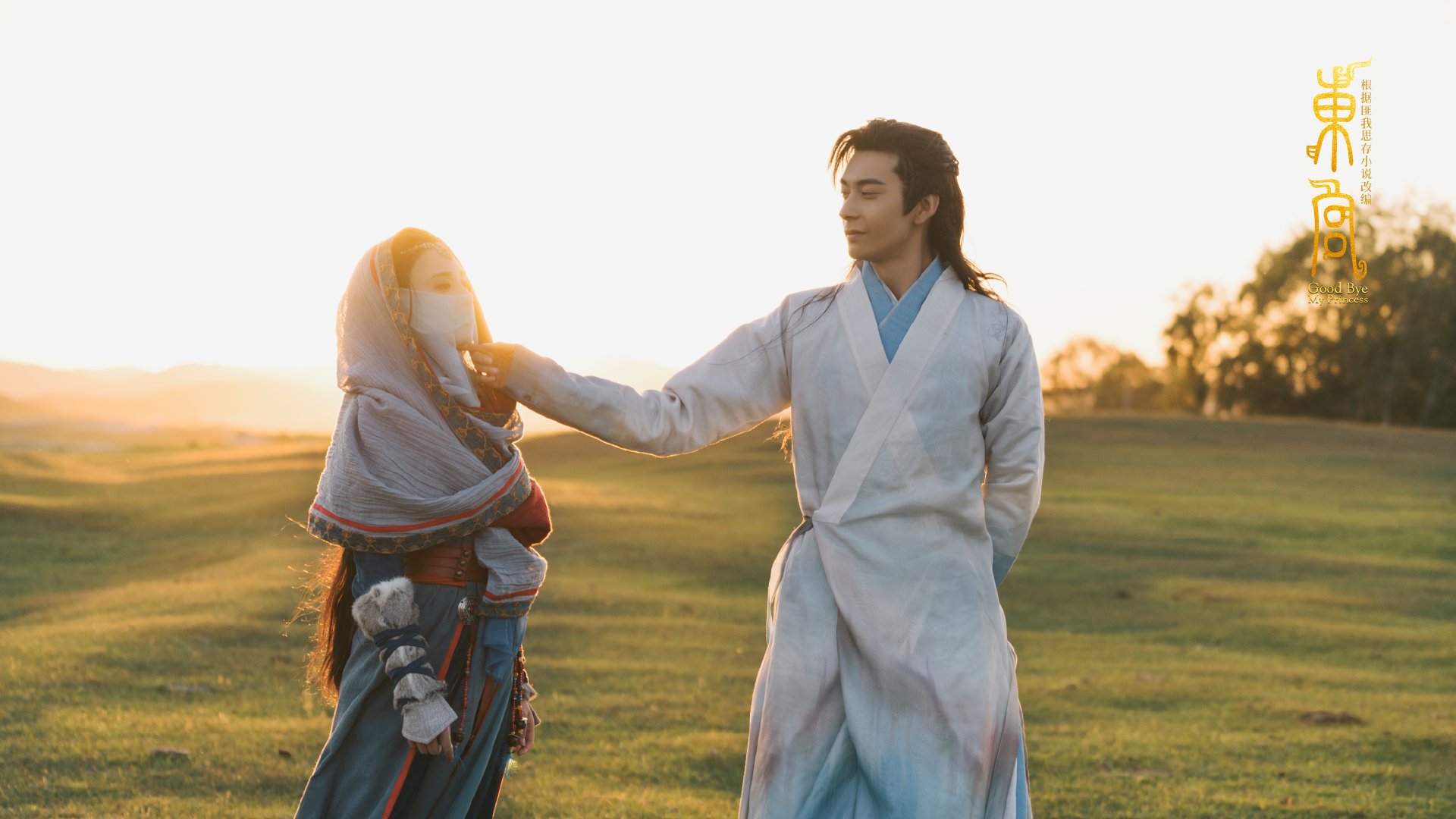 拳台回响，当时间在第十一回合凝结