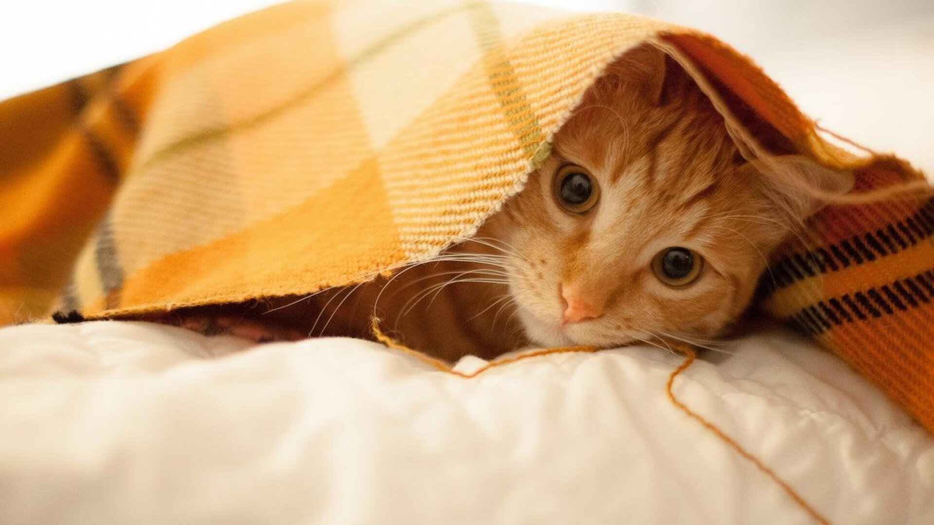 雷火电竞简介-首先，是扩展思维后的文章标题