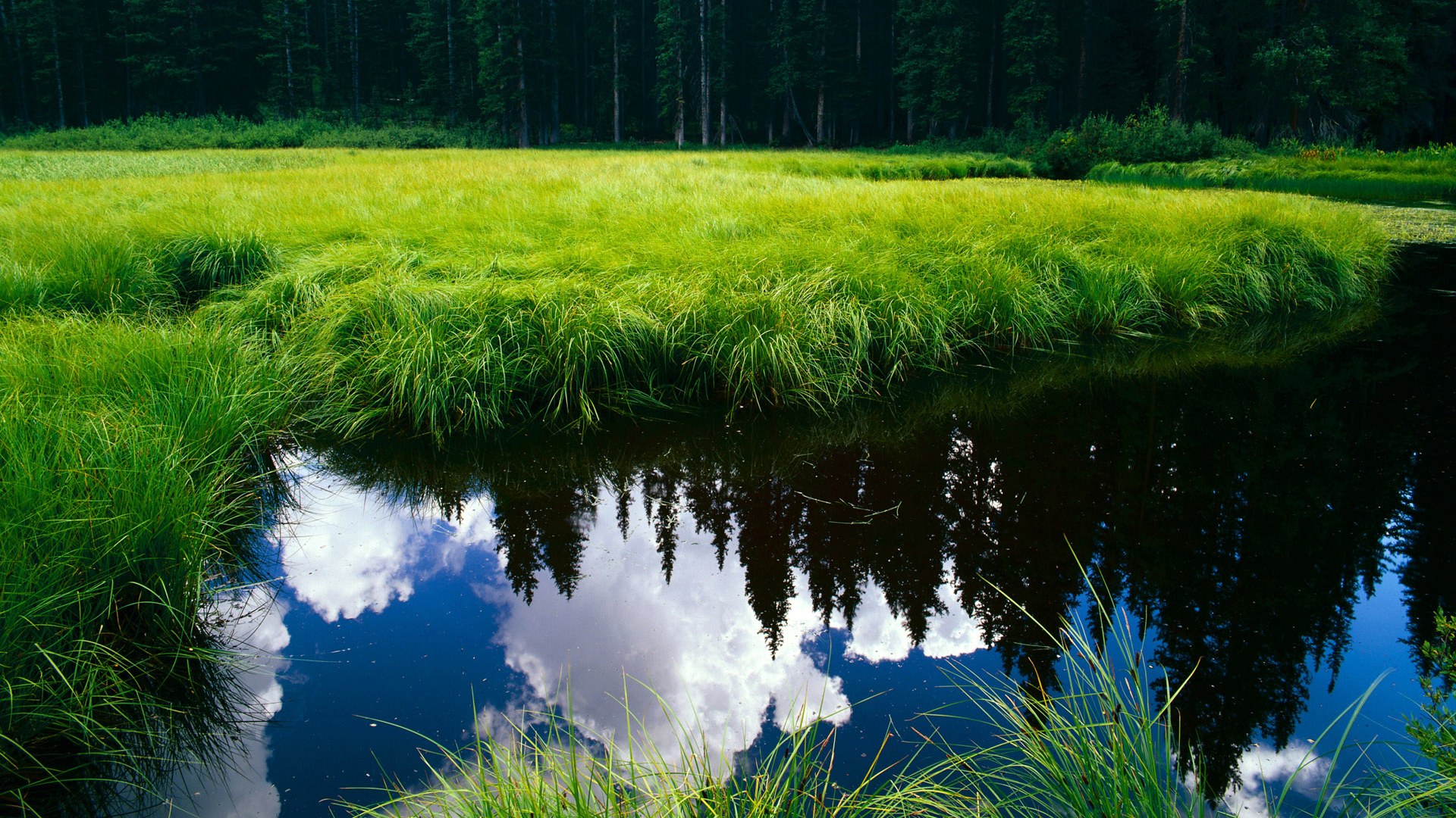 冰与火之歌，当北欧寒流冻结圣西罗，阿克书写豪门绞杀者的独有密码