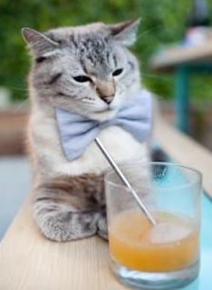 双线杀无赦，哈兰德与加拿大男篮如何让比赛提前沦为垃圾时间